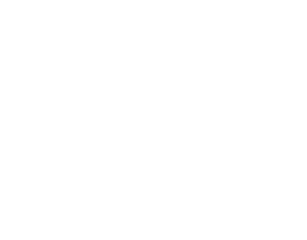 Mud Marathon Logo